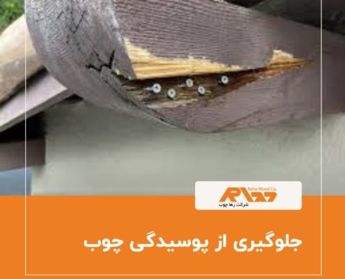 جلوگیری از پوسیدگی چوب