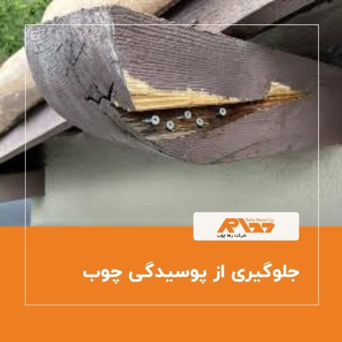 جلوگیری از پوسیدگی چوب جلوگیری از پوسیدگی چوب